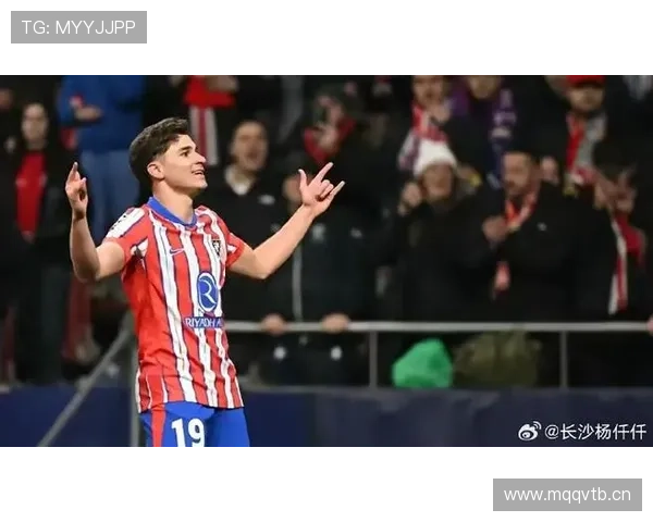 阿尔瓦雷斯从中锋到二前锋的角色演变分析